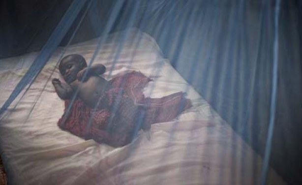 Photo: The Citizen A child under mosquito net to prevent malaria.