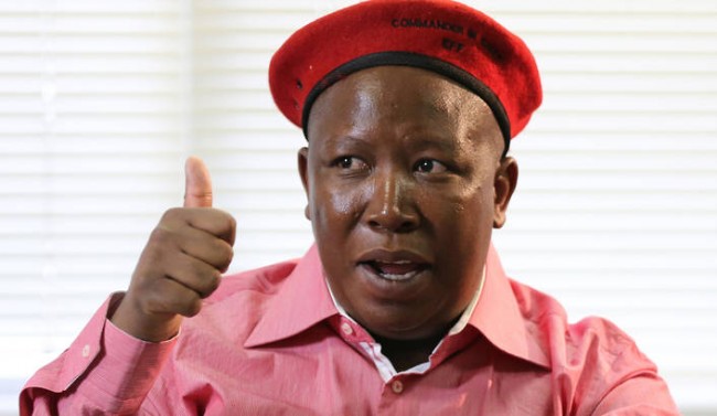 Julius Malema of the EFF is a force to reckon with in South African politics
