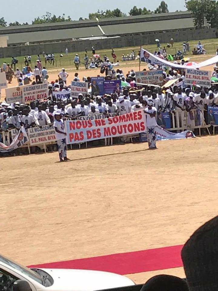 "We are not sheep," reads a curious message from militants of the ruling party at a rare campaign event of the 85 year old incumbent President Paul Biya in Maroua